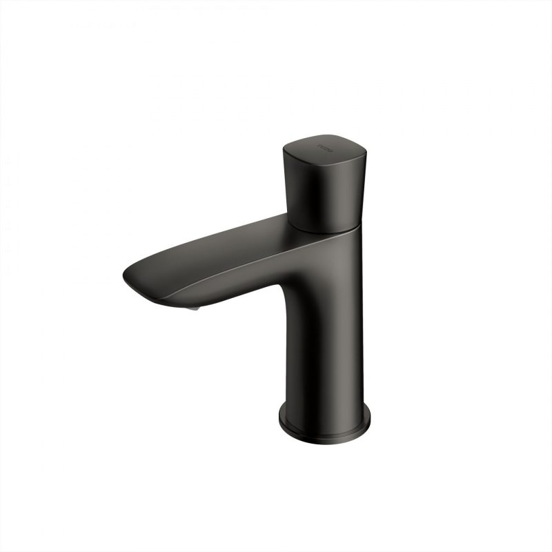 Vòi chậu nước lạnh GA Series - TLG04101B#MBL