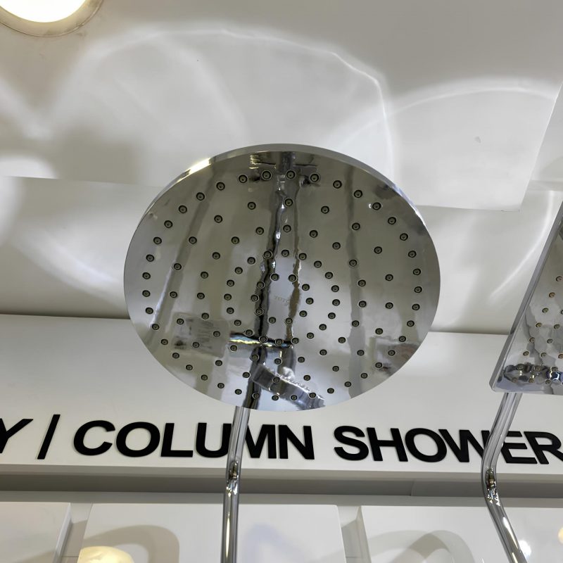 Alternative view of Thân sen cây_TBW13020V