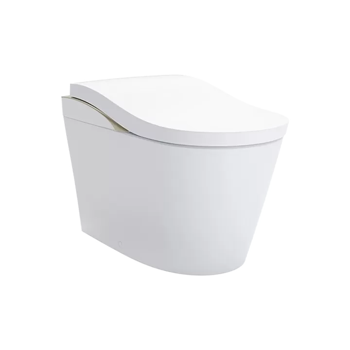 Bồn cầu vệ sinh